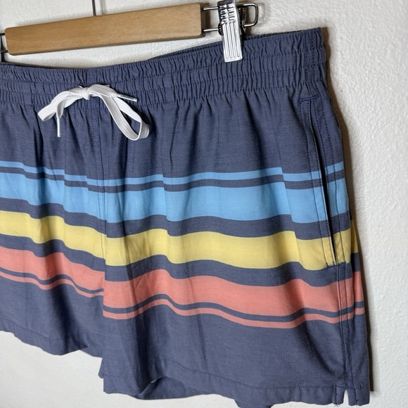 Chubbies The Retro‎ Sets 4" Inseam Swim Trunks Shorts Men's XL Striped Colorful - Picture 2 of 11